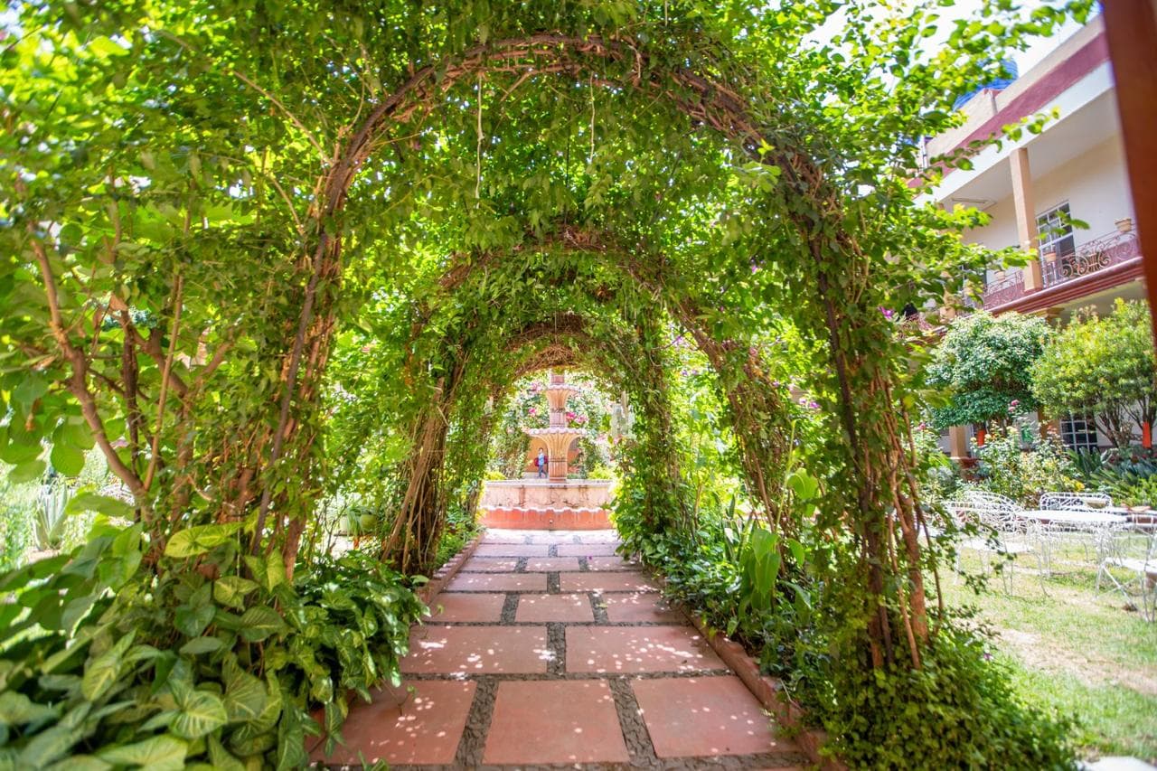 Jardín de Asilo Primavera